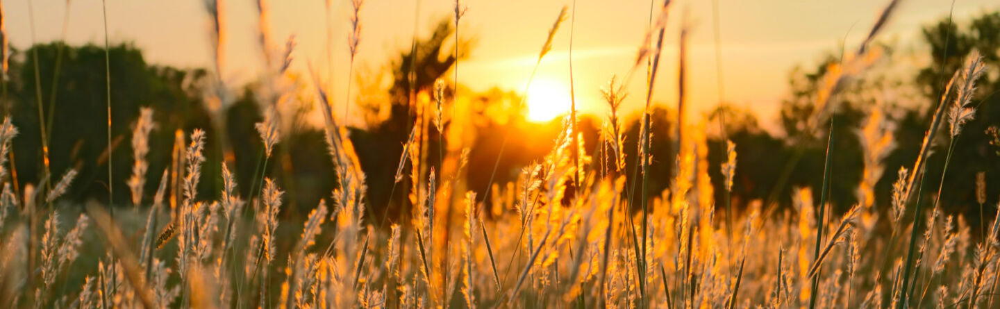 /Magazine/2022/July-happiness-challenge/DAY5 Header.jpg